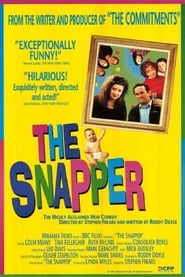 The Snapper постер