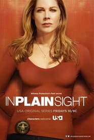 In Plain Sight постер