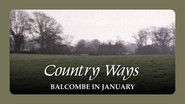 Balcombe in January.