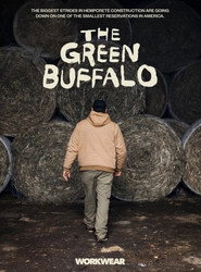 Poster for The Green Buffalo