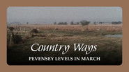 Pevensey Levels in March