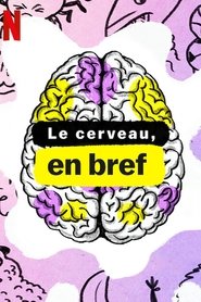 Le cerveau, en bref streaming