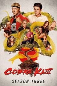 Cobra Kai 3. Évad 6. Rész Cobra Kai 3. Évad 6. Rész