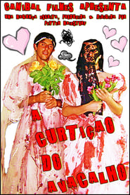 Poster A Curtição do Avacalho