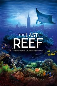 Poster The Last Reef