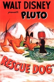 Rescue Dog постер