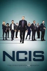 NCIS: Investigação Naval: Season 18