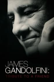James Gandolfini: Tribute to a Friend 2013