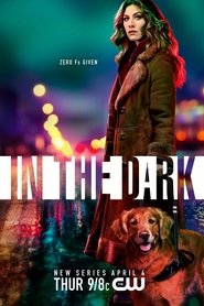 In the Dark In the Dark