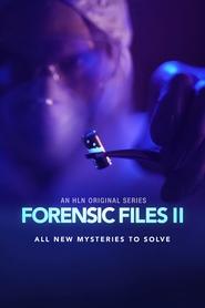 Forensic Files II постер