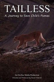 Poster Tailless 2025