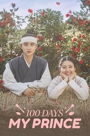 100 Days My Prince poster