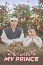 Poster 100 Days My Prince - Specials 2018