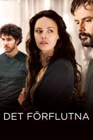 Det förflutna (2013)