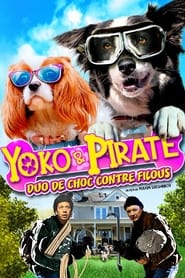 Yoko et Pirate: duo de choc contre filous streaming