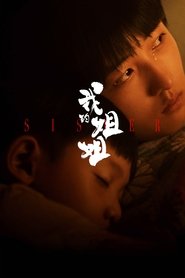 我的姐姐 poster watch 我的姐姐 now