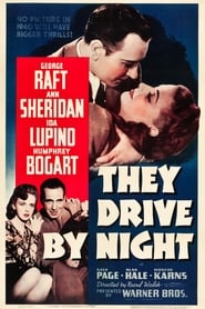 They Drive by Night постер