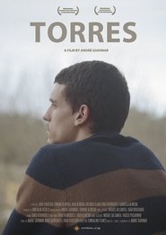 Poster Torres 2013