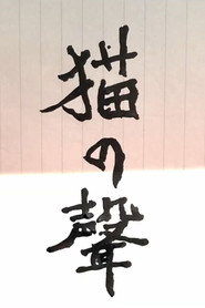 Name of The Cat