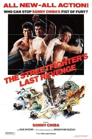 The Street Fighter 3: The Street Fighter's Last Revenge poster