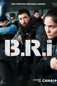 The Brigade постер