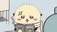 Episode 365