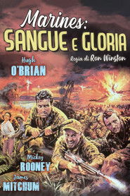 Marines: sangue e gloria