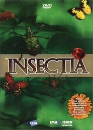 Insectia Episode Rating Graph poster