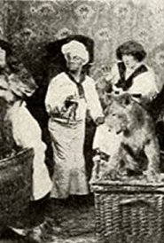 Poster Calino et ses pensionnaires 1911