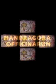 Mandragora officinarum Poster