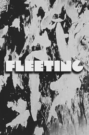 FLEETING (2025)