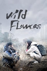 Full Cast of Wild Flowers
