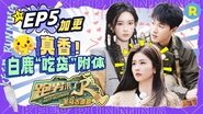 Episode 20