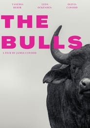 Poster The Bulls 1970