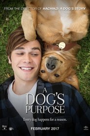 A Dog’s Purpose
