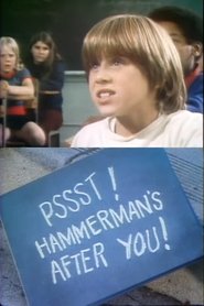 Pssst! Hammerman's After You! streaming