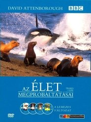 Az élet megpróbáltatásai