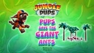Jungle Pups: Pups Save the Giant Ants