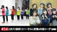 Afsnit 14