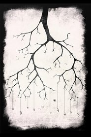 Poster Dreamlands 2012