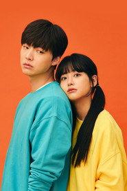 Love with Flaws poster