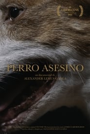 Poster Perro Asesino