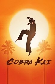 Cobra Kai (2018) Season 1 Complete Hindi Dubbed