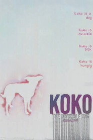 Koko: The Invisible Dog
