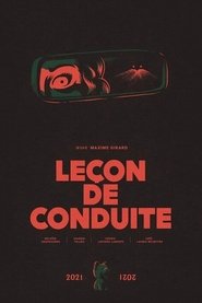 Poster Leçon de conduite