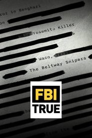 Poster FBI TRUE - Season 5 Episode 10 : Sea of Thieves 2025