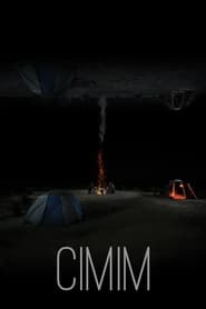 Poster CIMIM