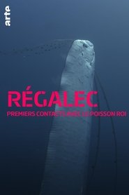 Régalec, premiers contacts avec le poisson roi (2019)