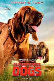Superpower Dogs постер
