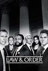 Law & Order: Season 21